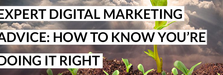 Expert Digital Marketing Advice: How to Know You’re Doing It Right