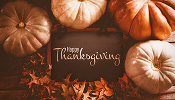 example of a Thanksgiving email template