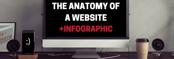 The anatomy of a website + infographic