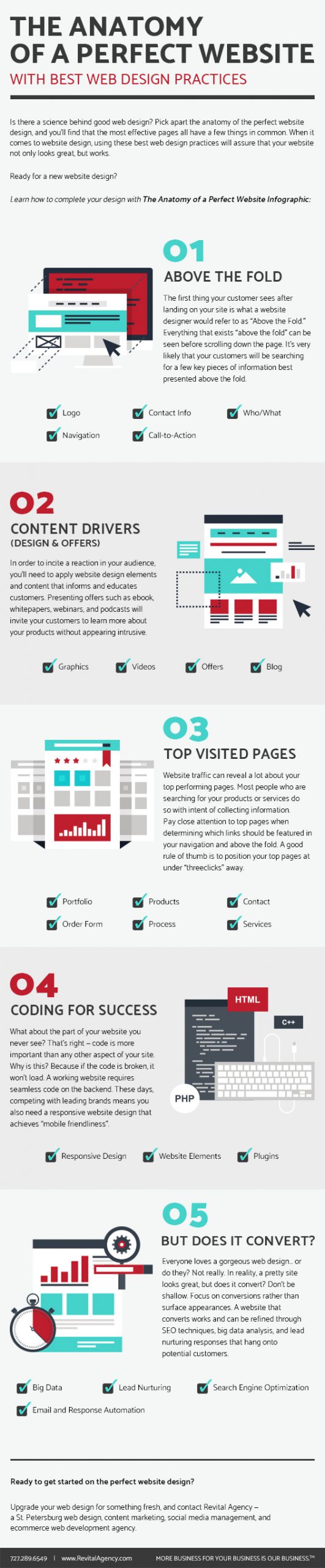 Web Design Infographic