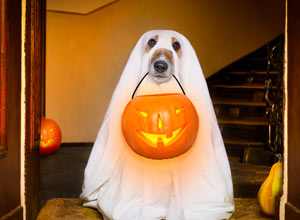 halloween costume contest ideas