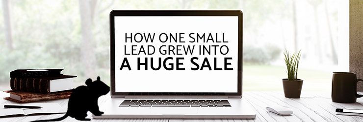 How one Small Lead Grew into a Huge Sale