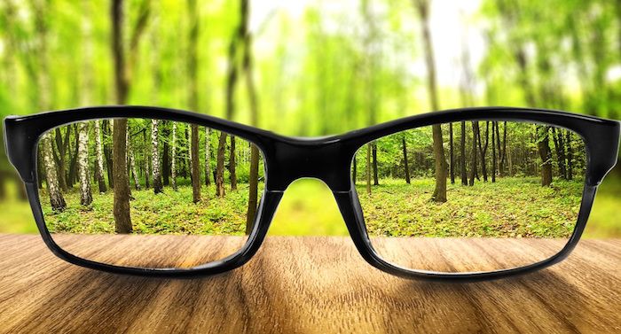 glasses on table with woods in background visual your brand identity