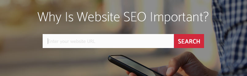 Why Is Website Seo Important Oyova Why Is Website Seo Important Oyova