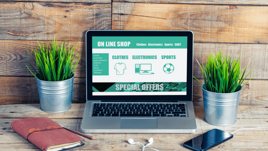 4 Types of eCommerce Websites