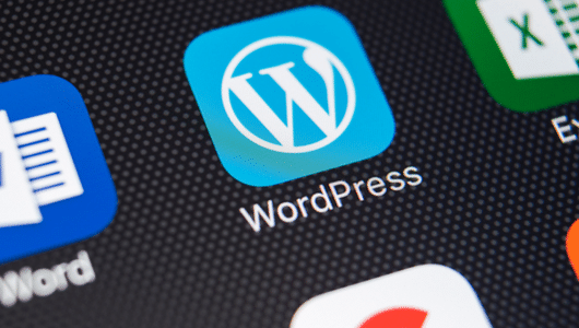 What is WordPress Multisite