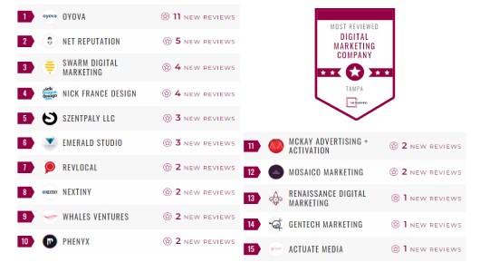 Most Reviewed Web Developers in Tampa