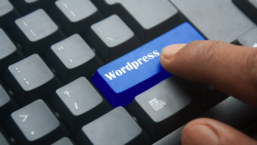 multisite option for your wordpress blog