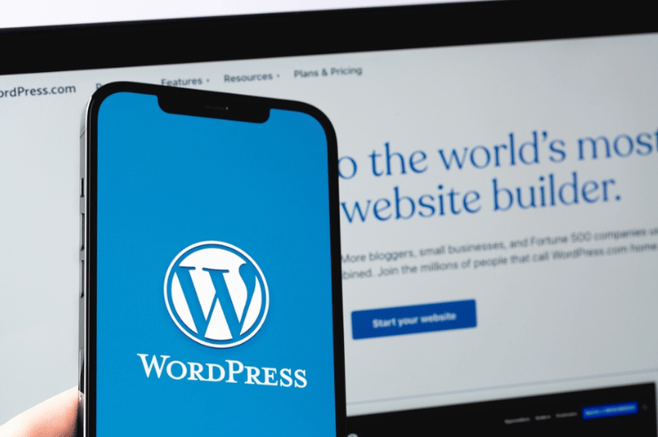 Pros and Cons of Choosing WordPress Multisite