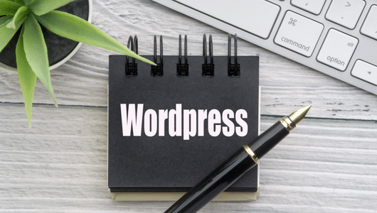 Pros of WordPress Multisite