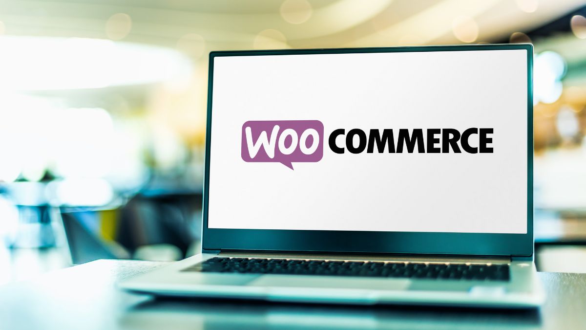 Utilizing Gravity Types for WooCommerce: A Information