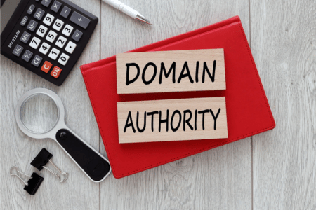 Book on domain authority