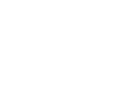Expertise Award for 2025 Best SEO Agency in St. Petersburg