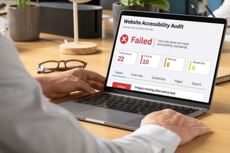 Website accessibility audit dashboard showing issues and scope factors that affect audit cost